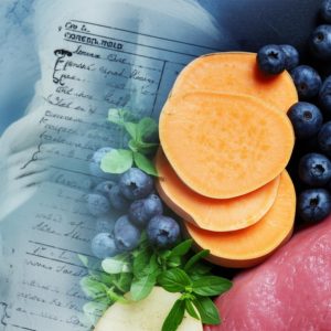 makanan anjing sehat alami terbaik